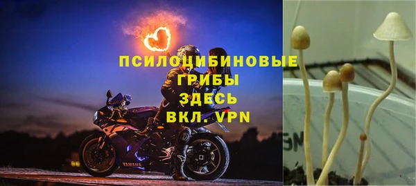 ALPHA PVP Пересвет